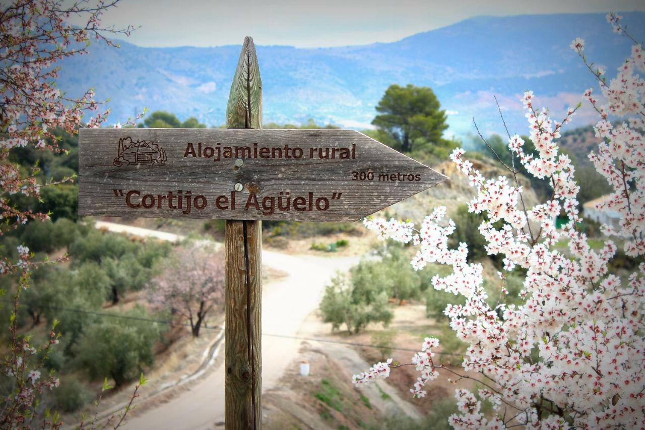 Alojamiento Rural El Agueelo Huelma 외부 사진